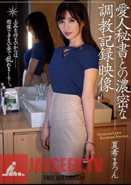 Video Record Of A Mistress Secretary's Thick Breaking In - Maron Natsuki