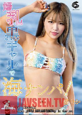 Picking Up The Sea With A Black Gal With Huge Breasts! Tsubaki Rika
