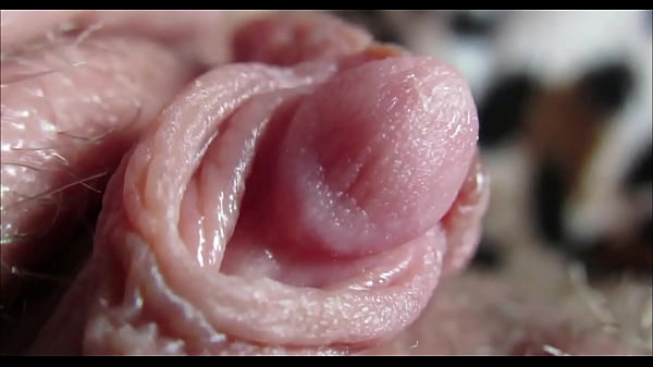 Huge clitoris rubbing and jerking orgasm