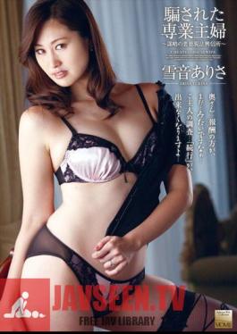 There Sound Is Snow-detective Agency Circumvention Of The Law Of Conspiracy - Vices Housewife Was Deceived