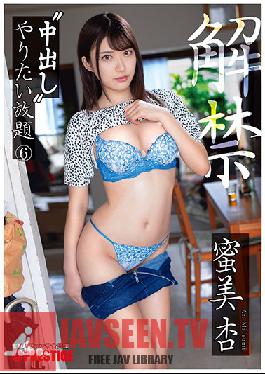 Creampie Creampie All You Want 6 An Mitsumi