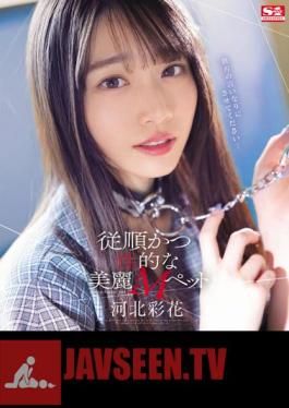 Obedient And Sexual Beautiful M Pet Ayaka Kawakita (Blu-ray Disc)