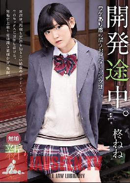 Innocent Rookie Debut In Development. A Gentle Girl With A Sense Of Reason ... Hiiragi