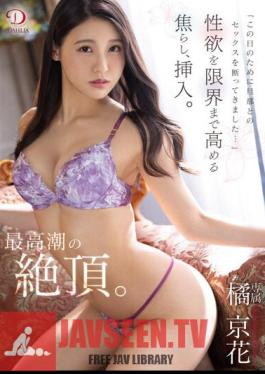 "I Refused To Have Sex With My Husband For This Day ..." I Rushed And Inserted To Raise My Sexual Desire To The Limit. The Climax Of The Climax. Kyoka Tachibana