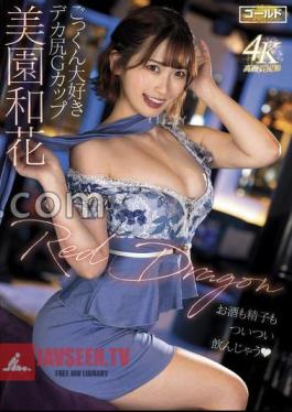 FANZA Exclusive Red Dragon Waka Misono With 8 Kinds Of Bromide