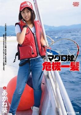 studio Alice Japan - Tuna Daughter Close Call Akane Aoi