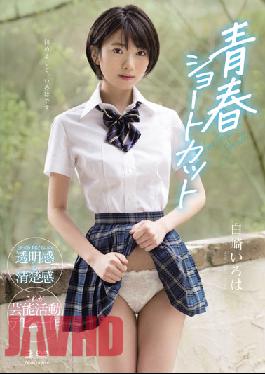 Youth And Short Hair. Iroha Shirazaki.