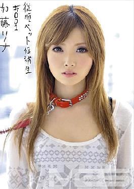 My Loyal Sex Pet #001 Rina Kato