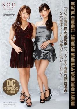 DIGITAL CHANNEL Shiraishi Mari Nana Harumi Tachibana - SOD Create