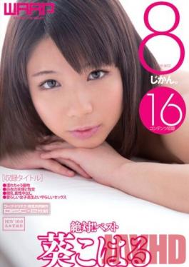 Studio Waap Entertainment Definitely ! Best 8 Hours - Koharu Aoi