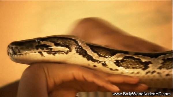 The Beginning Of Mankind