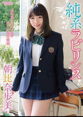 Pure Labyrinth / Ayumi Asahina