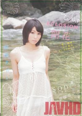 Studio SOD Create ECLOSION Full Bloom - 23 Year Old Sex-Addict's PORN DEBUT - Aoi Kirishima