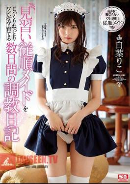 I'm Slowly And Surely Developing This Obedient Maid Trainee Into My Kind Of Woman Over Several Days Of Breaking In Training Riko Shiraha