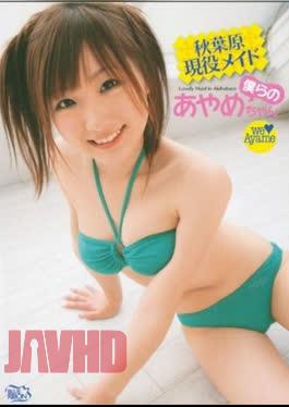 Ayame – Akihabara Active Maid Our Ayame-chan