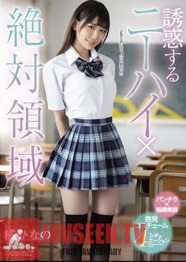Temptation Knee High X Absolute Area Hinano Tachibana