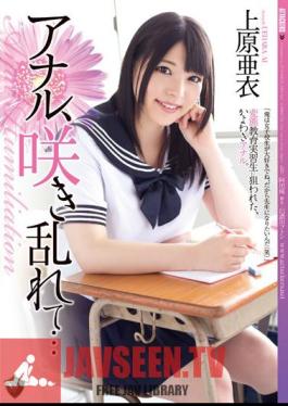 Job, Bloom ... Ai Uehara