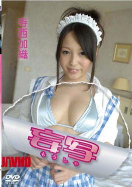 Kaori Teranishi / Absurd Capture