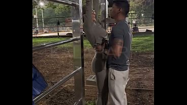 "Look at the guy fucking me in your car, you cuckold" - Personal trainer with a big dick fucks the naughtiest married woman in Brazil in front of her cuckold husband after a naughty workout in the park.