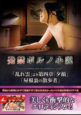 Birthing Porn Novel
