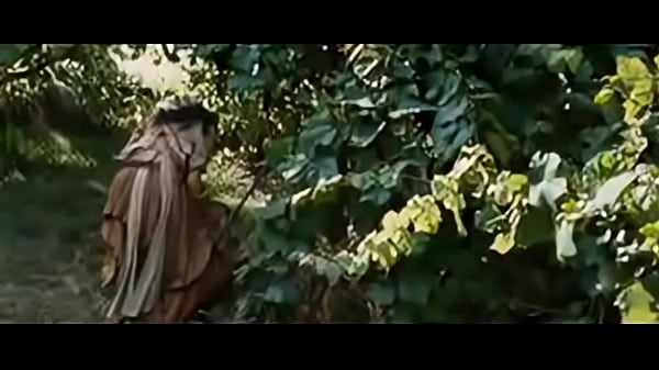 The vinters luck
