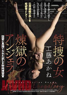 The Purgatory Of A Female Special Investigator Angy Akane Fuji