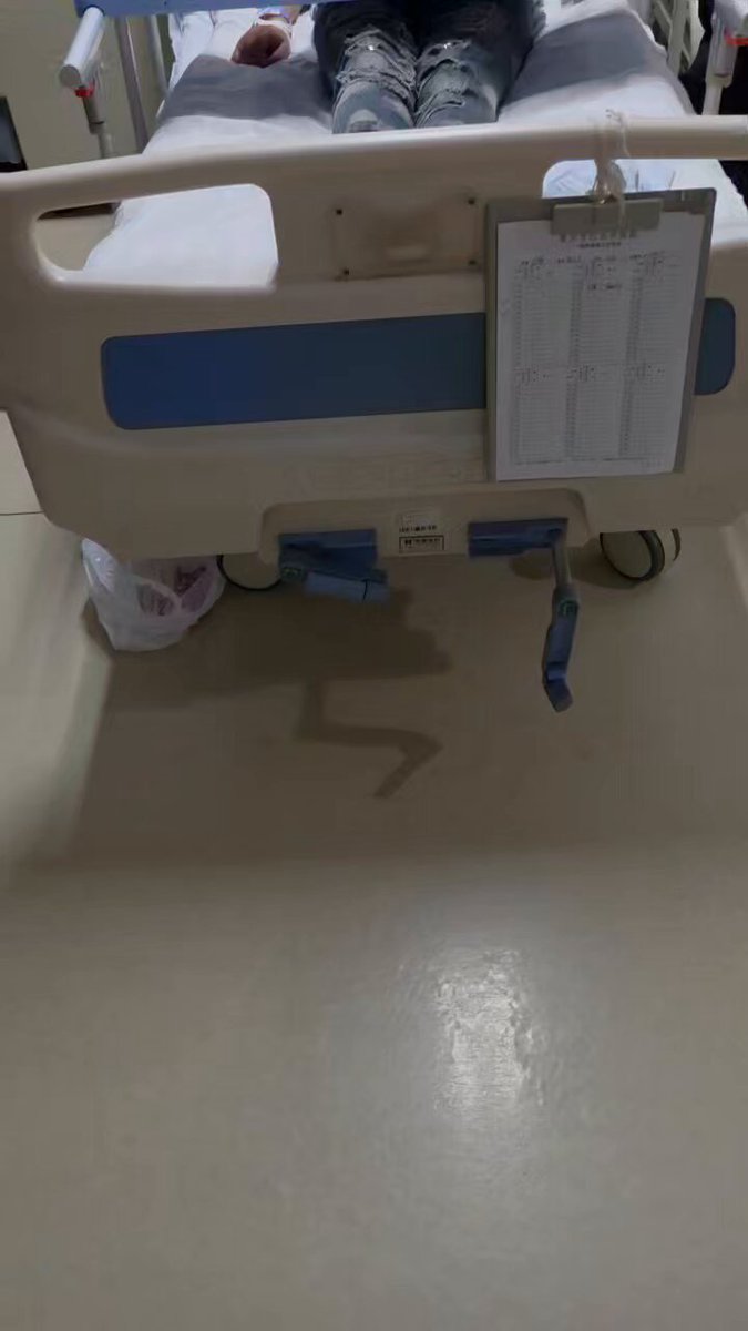 Aria黄鸭