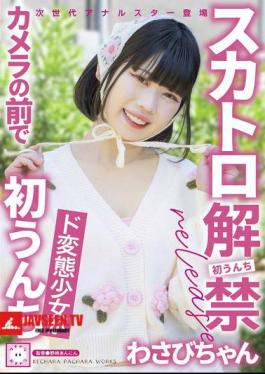 Scat Ban Lifted Wasabi-chan, A Perverted Girl Poops In Front Of The Camera For The First Time