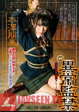 Studio IEnergy Abnormal Confinement HonSawa Tomomi