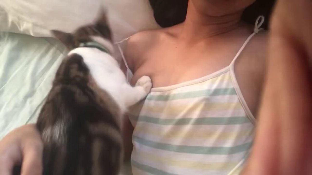 다은