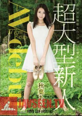 Akiba Akane AV Debut