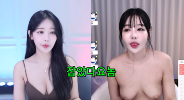 한국야동_(한국야동) 잡았다 요놈 결혼하는 비제이 축전