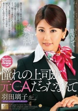 studio Takara Eizou - Haneda Nante Longing Boss Was A Former CA Riko