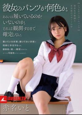 Schrodinger's Pants: A Single Chemistry Teacher And Her Female Student's Skirt By Ito Akana