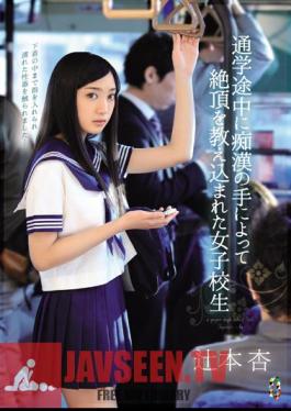 In The Middle School We Were Taught The Capstone By The Hand Of Molesting School Girls Tsujimoto Apricot