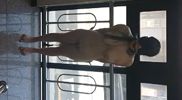 한국야동_(한국야동) 변태들의 아지트 텀블러 시절 야외플 모음 1