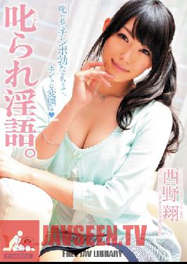Studio MOODYZ Sexual Achievements Sho Nishino