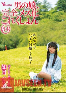 Man's Daughter, Complete Female Collection 34 Haruka Kisaragi