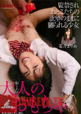 Studio Nakajima Kogyo Adult Toys Mari Wakatsuki a