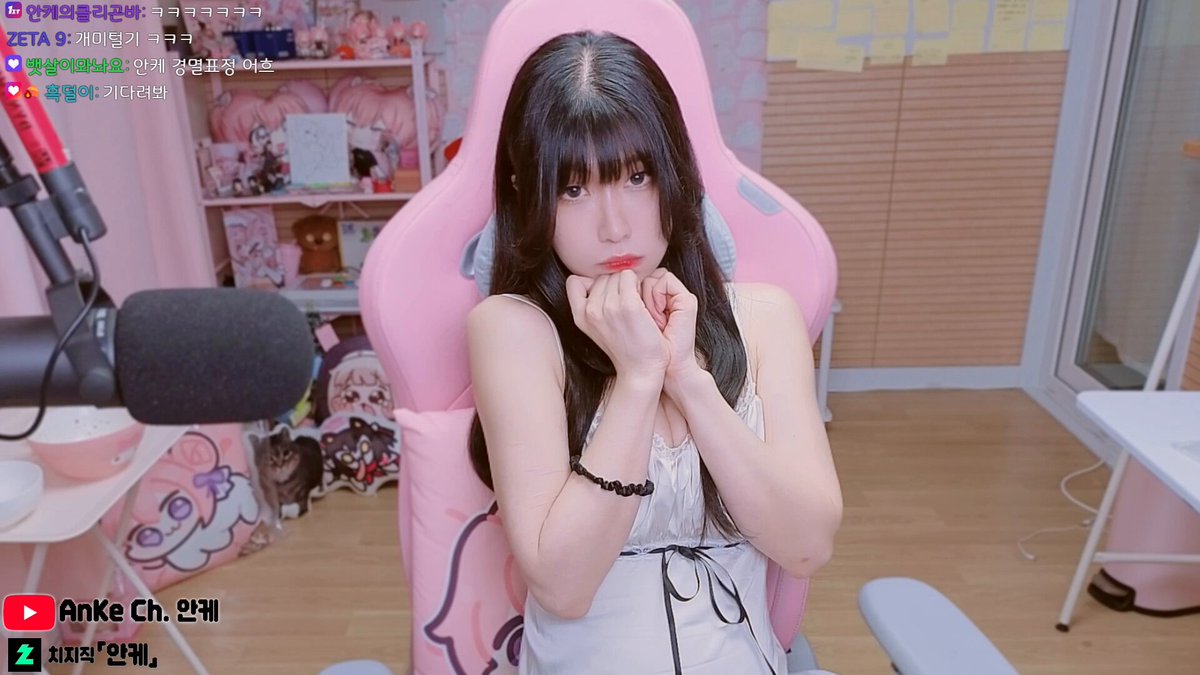 안케/AnKe🦀