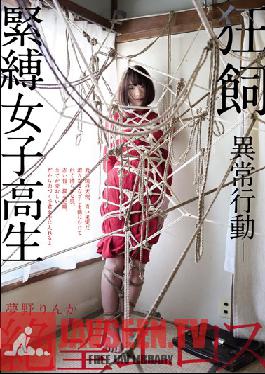 Studio Zetsubo Eros/Mousouzoku Eros Company Of Despair Rinka Yumeno Insane And Abnormal Domestication Bondage Honor Roll