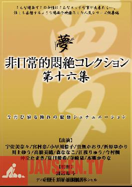 Studio AVS collector's Unusual Agonizing Pleasure Collection Collection 16