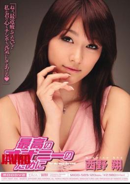 Shou Nishino Best For Masturbation