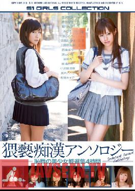 Studio S1 NO.1 Style Lustful Groper Anthology: Beautiful Girls Violated (4 Hour Compilation)