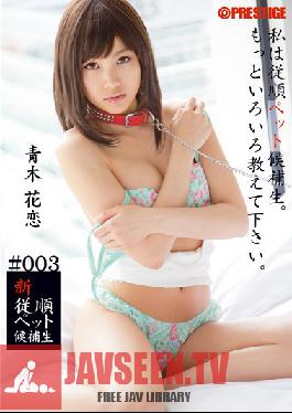 Studio Prestige New Pet Training #003 Karen Aoki