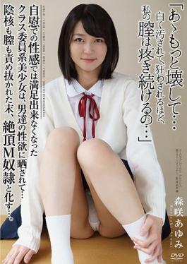 studio Aurora Project Annex - Class Committee System Girl That Is No Longer Able To Satisfy