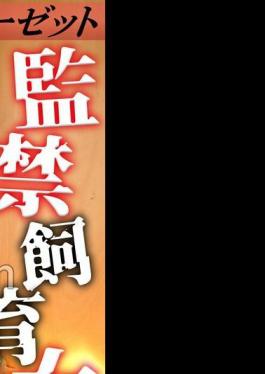 Rika Closet Confinement Breeding Woman