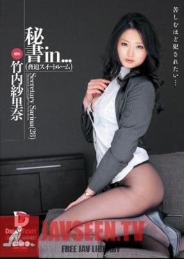 Secretary Sarina suite Room Intimidation In ... Secretary (28)