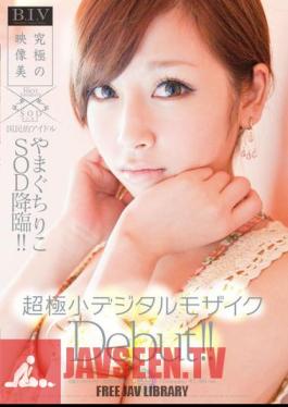Yamaguchi, Riko SOD Advent National Icon!! Ultra-small Digital Mosaic Debut!!