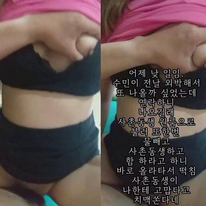 박제계